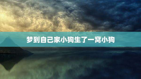 梦到自己家小狗生了一窝小狗
