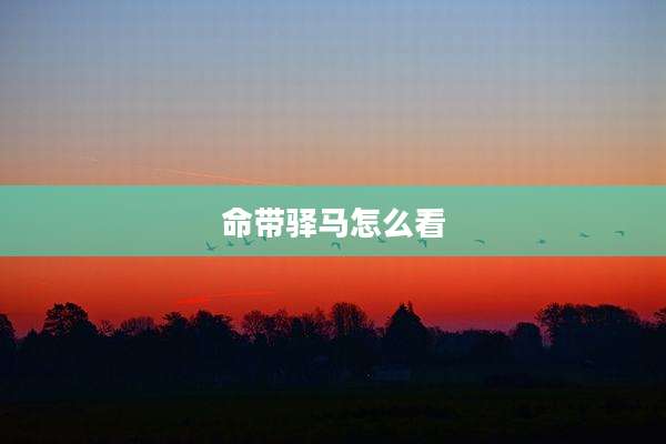 命带驿马怎么看