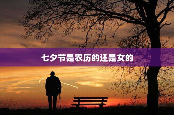七夕节是农历的还是女的