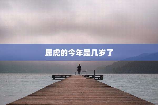 属虎的今年是几岁了