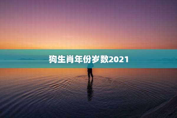 狗生肖年份岁数2021