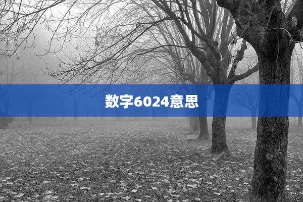 数字6024意思