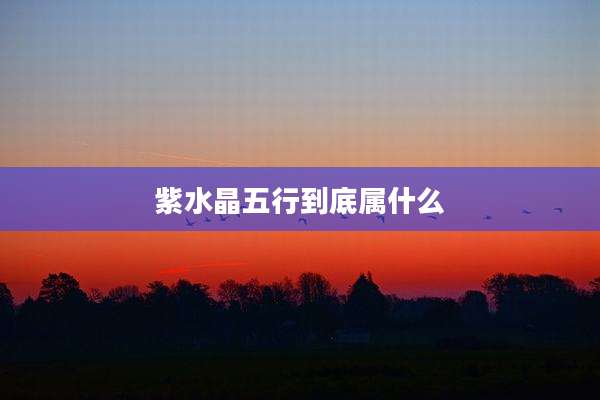 紫水晶五行到底属什么