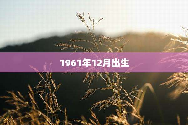 1961年12月出生