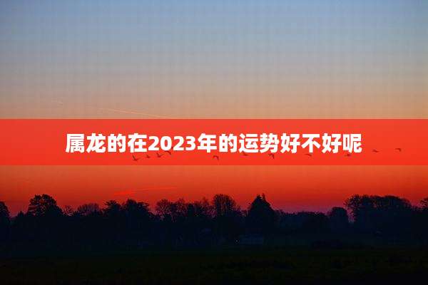 属龙的在2023年的运势好不好呢