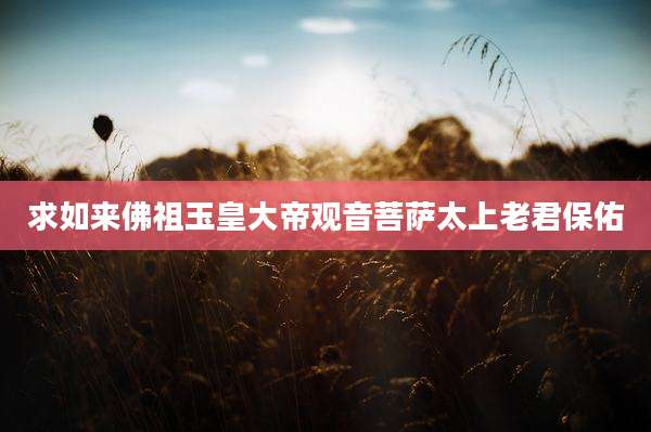 求如来佛祖玉皇大帝观音菩萨太上老君保佑