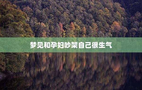梦见和孕妇吵架自己很生气
