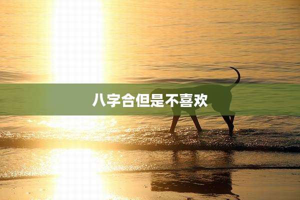 八字合但是不喜欢