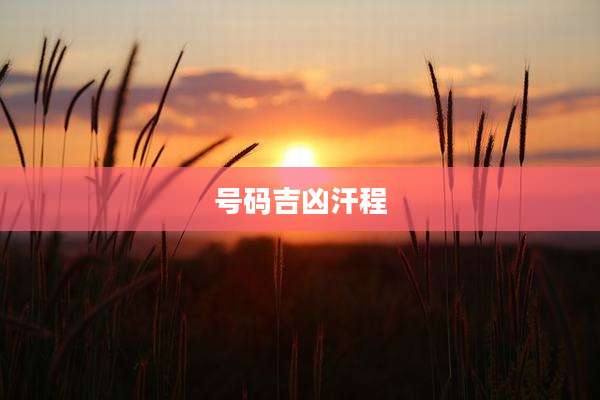 号码吉凶汗程