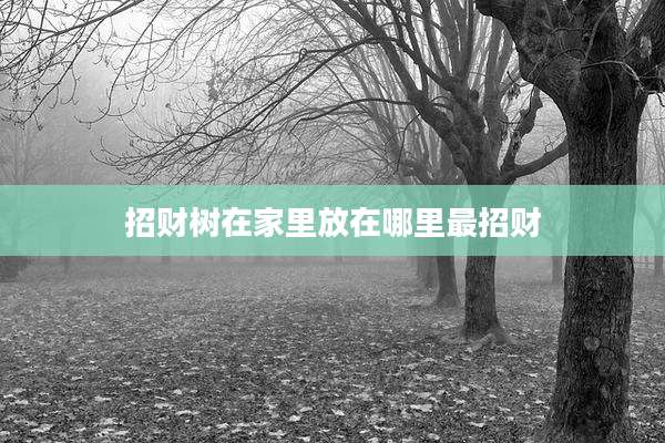 招财树在家里放在哪里最招财