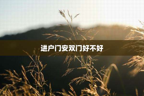 进户门安双门好不好