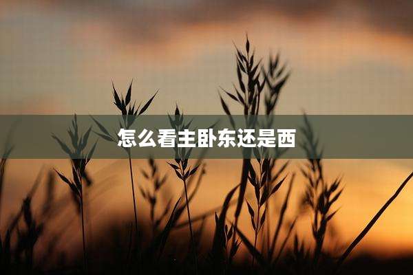 怎么看主卧东还是西