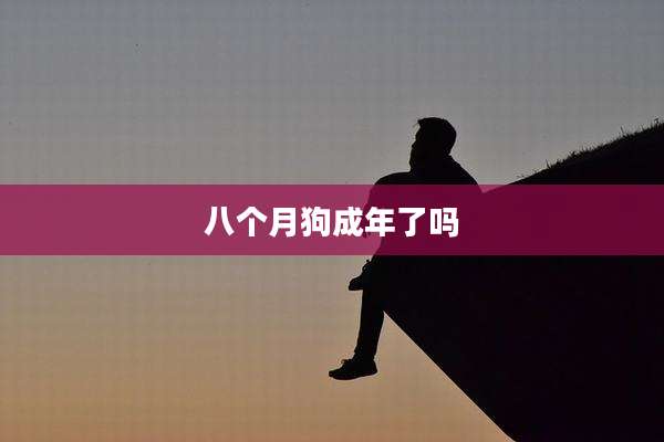 八个月狗成年了吗