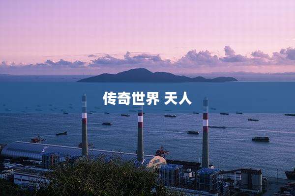 传奇世界 天人