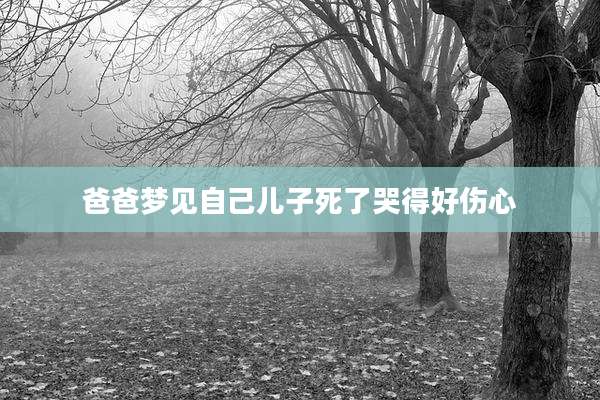 爸爸梦见自己儿子死了哭得好伤心