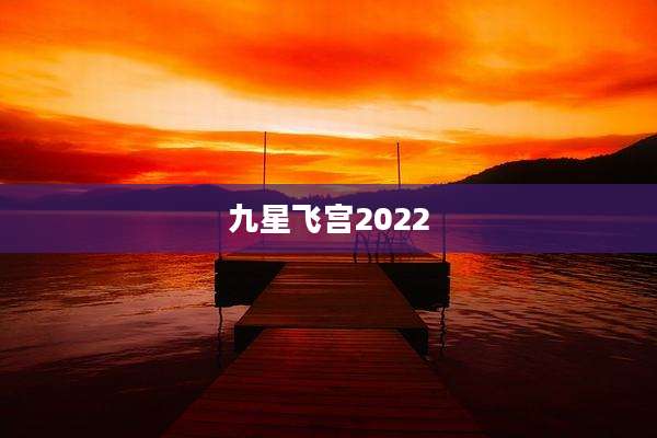 九星飞宫2022