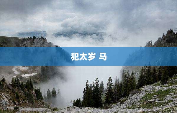 犯太岁 马
