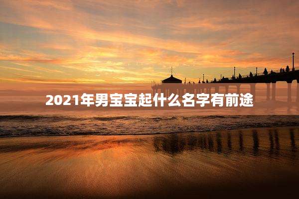 2021年男宝宝起什么名字有前途