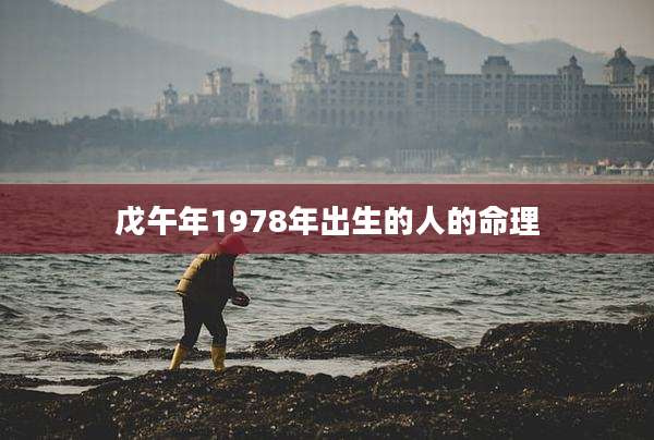 戊午年1978年出生的人的命理