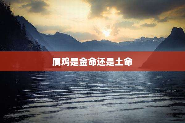 属鸡是金命还是土命