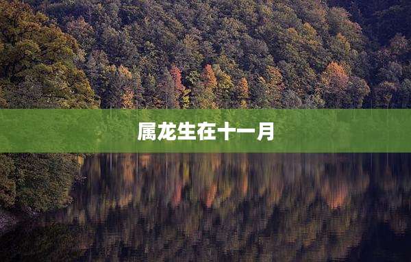 属龙生在十一月