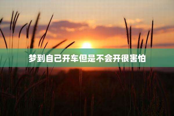 梦到自己开车但是不会开很害怕