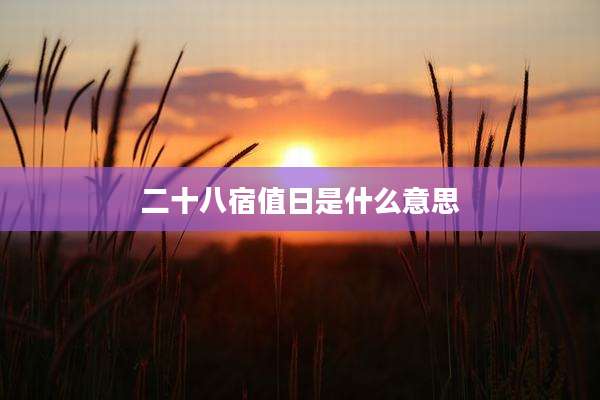 二十八宿值日是什么意思