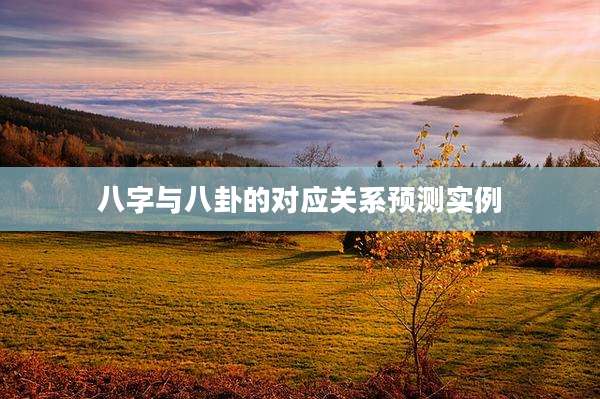 八字与八卦的对应关系预测实例
