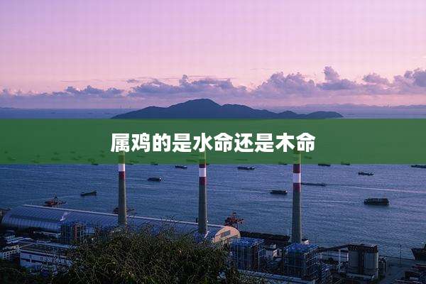属鸡的是水命还是木命