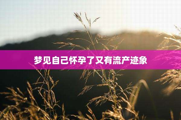 梦见自己怀孕了又有流产迹象