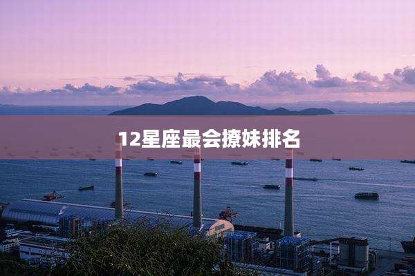 12星座最会撩妹排名