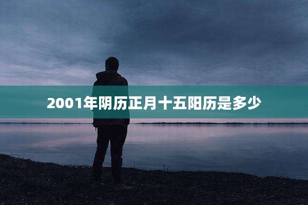 2001年阴历正月十五阳历是多少