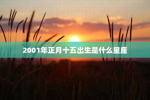 2001年正月十五出生是什么星座