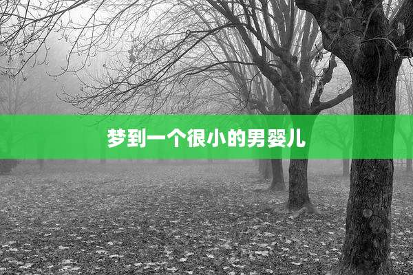 梦到一个很小的男婴儿