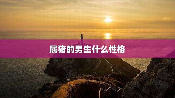 属猪的男生什么性格