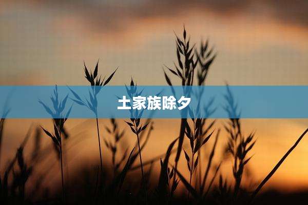 土家族除夕