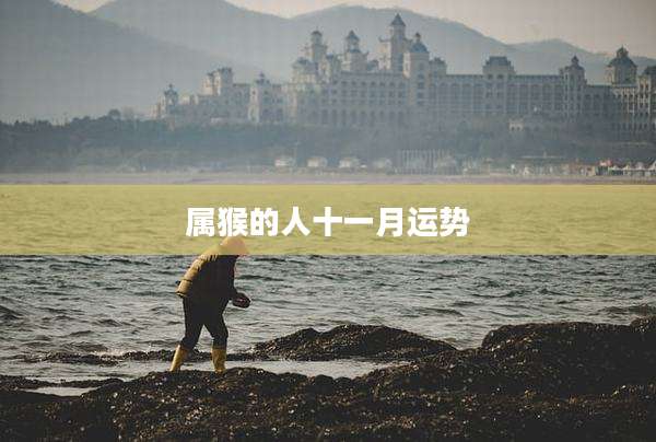 属猴的人十一月运势