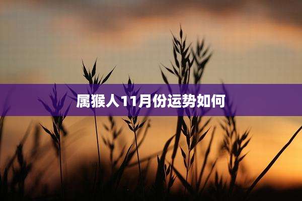 属猴人11月份运势如何