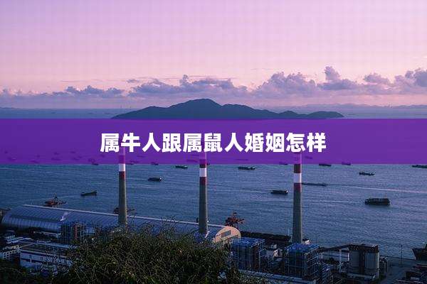 属牛人跟属鼠人婚姻怎样