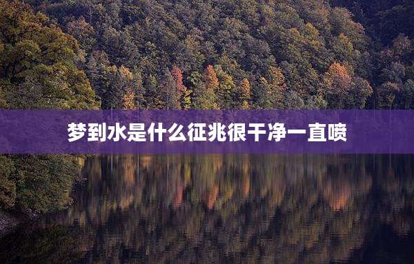 梦到水是什么征兆很干净一直喷