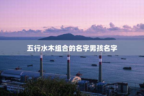 五行水木组合的名字男孩名字