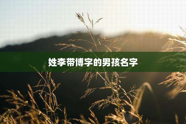 姓李带博字的男孩名字