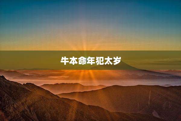 牛本命年犯太岁