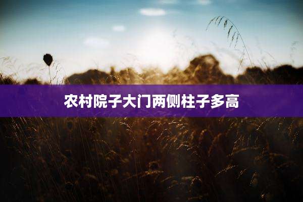 农村院子大门两侧柱子多高