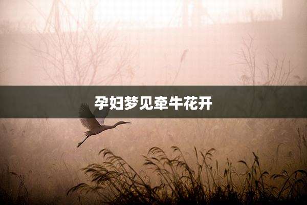 孕妇梦见牵牛花开
