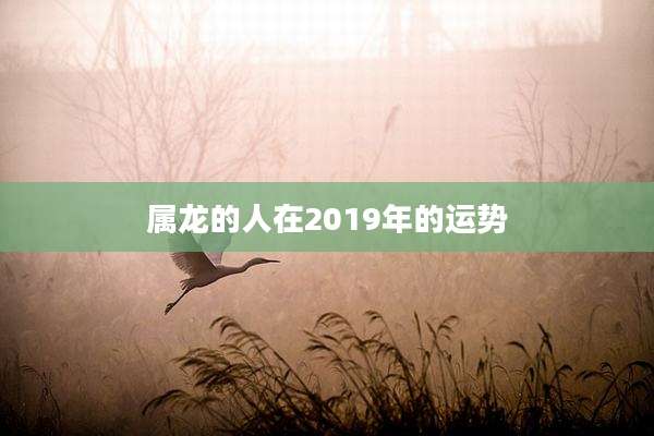 属龙的人在2019年的运势