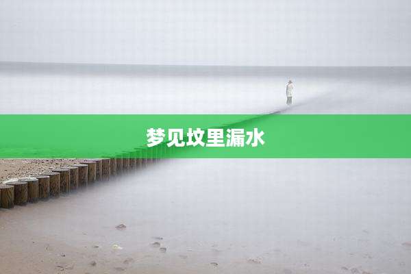 梦见坟里漏水