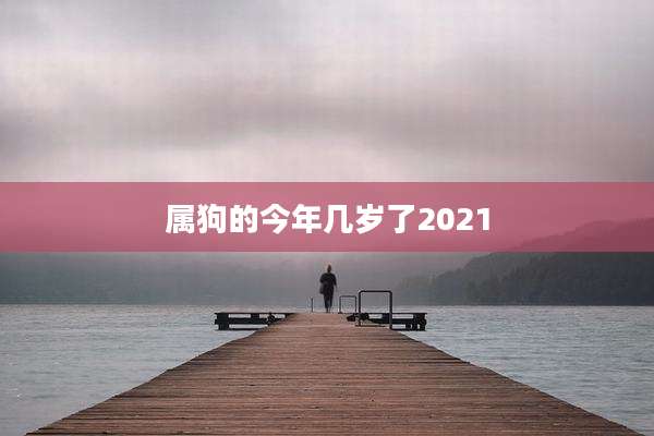 属狗的今年几岁了2021