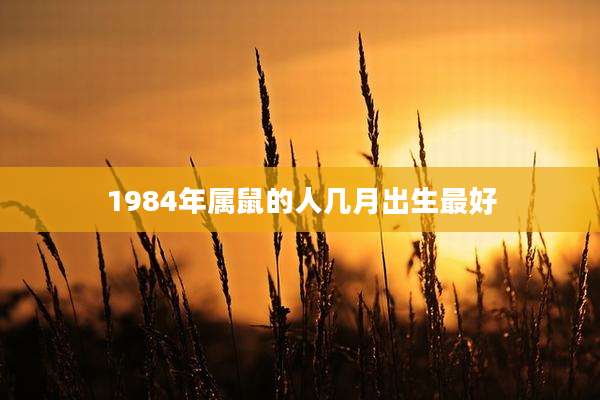 1984年属鼠的人几月出生最好