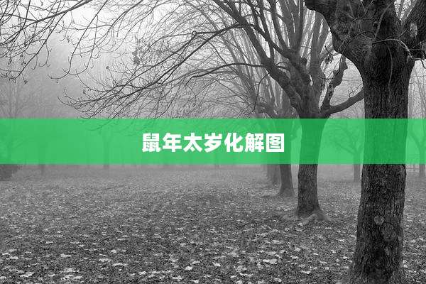 鼠年太岁化解图